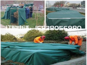 冬天来了 气温降低 植物保温需要用防寒布了