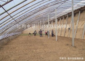 无纺布在大棚中的应用方法