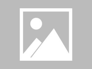 全省水稻无纺布钵苗育秧技术培训会在碧江区召开