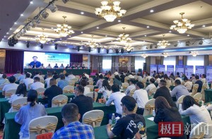 湖北“非织造布产业第一市”借助电商平台扬帆出海