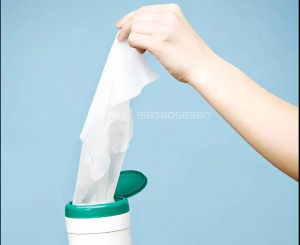 
            
【行业动态】水刺非织造布市场继续增长
          