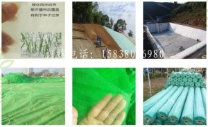 绿色绿化无纺布产品介绍