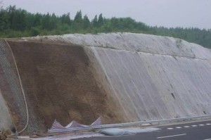 绿化护坡无纺布