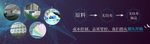 专业从事无纺布生产与新品研发10余年